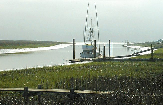MOUTH_OF_GALLINAS